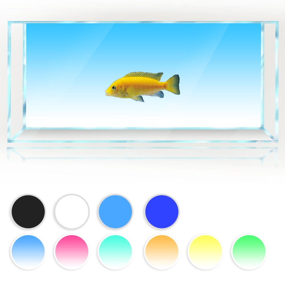 Aquarium Fish Yellow And Black - Aquarium Achtergrond Wit Geel Groen Blauw