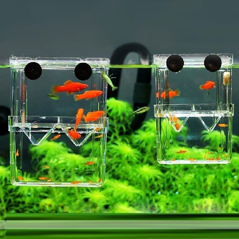 Aquarium Fish Cave - Multifunctioneel Visaquarium Hoge Heldere Viskwekerij Isolatiebox