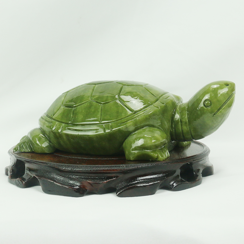 Natuurlijke Jade/schildpad Scu - Aquarium Fish Only recensie en prijs