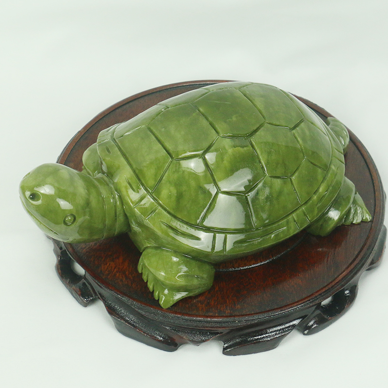 Natuurlijke Jade/schildpad Scu - Aquarium Fish Only recensie en prijs