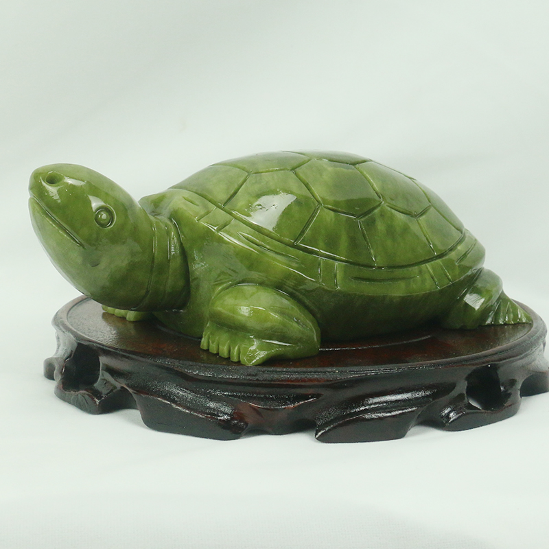 Natuurlijke Jade/schildpad Scu - Aquarium Fish Only recensie en prijs