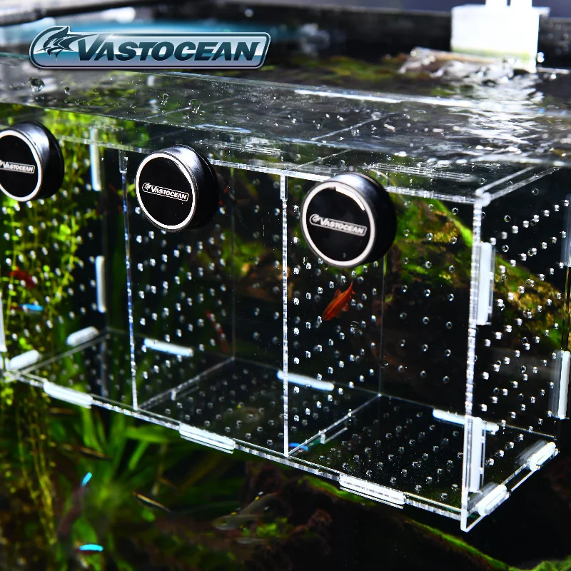 VASTOCEAN Aquarium Magnetische - Aquarium Fish Cave recensie en prijs