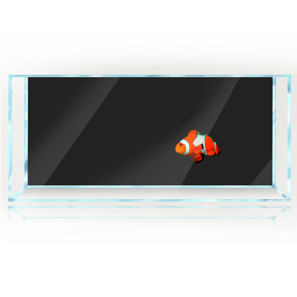Aquarium Achtergrond Wit Geel  - Aquarium Fish Yellow And Black recensie en prijs