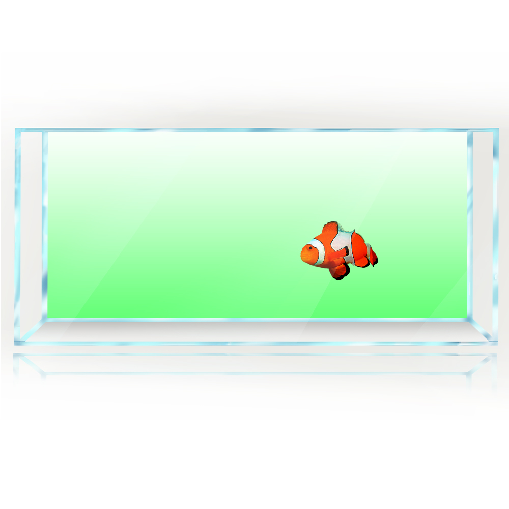 Aquarium Achtergrond Wit Geel  - Aquarium Fish Yellow And Black recensie en prijs