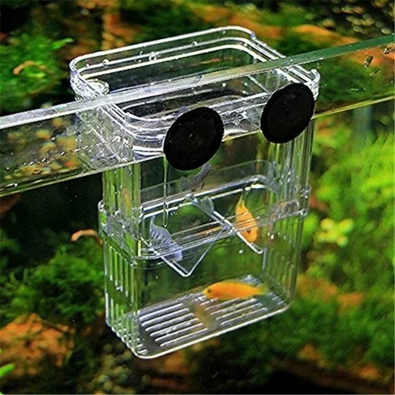 Transparant Vis Aquarium Hoge  - Aquarium Fish Cave recensie en prijs