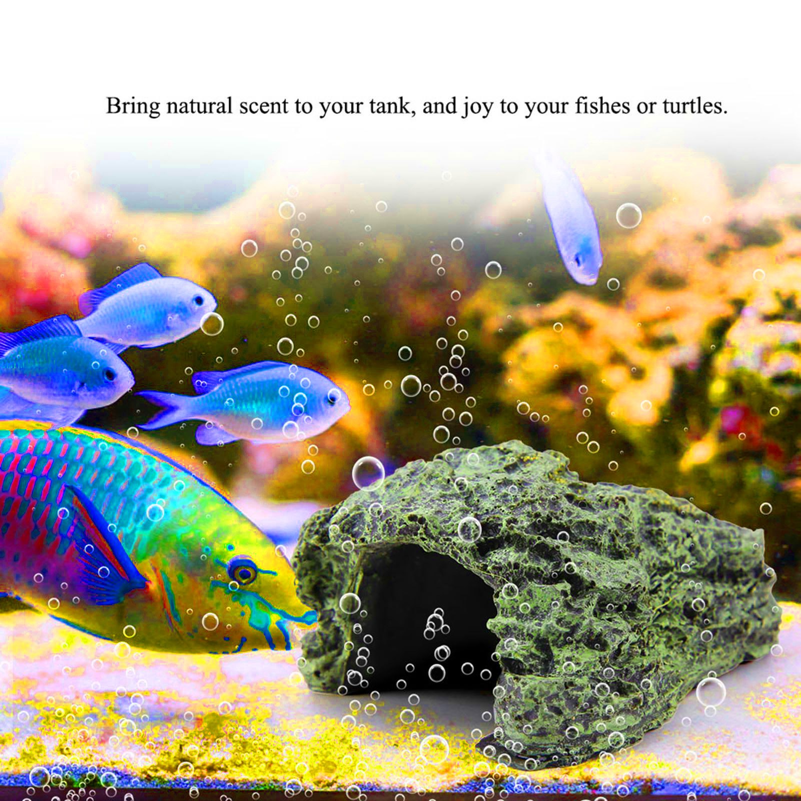 Reptielenhol, schildpadden zon - Aquarium Fish Cave recensie en prijs