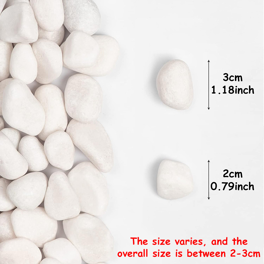 200/400g Witte Hooggepolijste  - Aquarium Fish Items recensie en prijs