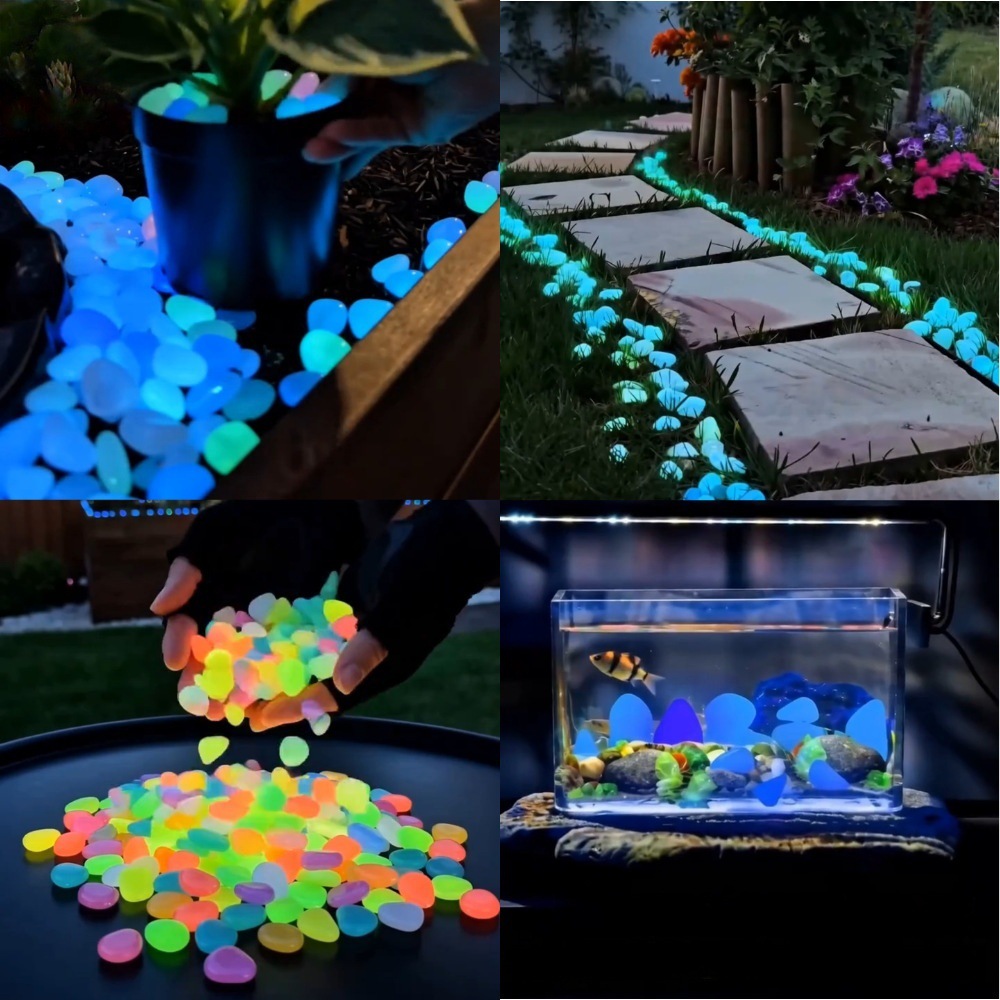 Kleurrijke, in het donker gloe - Aquarium Fish Items recensie en prijs