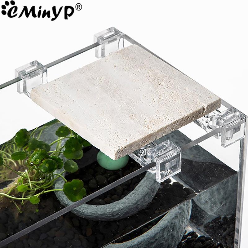 4 Stuks Aquarium Acryl Clips V - Aquarium Fish Items recensie en prijs