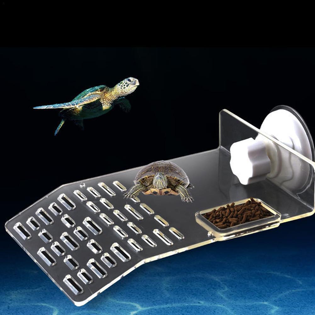Turtle Pier Dock Koesteren Pla - Aquarium Fishland recensie en prijs