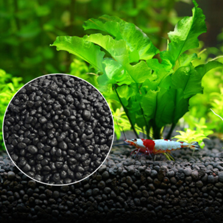 Aquarium Plant Zaden Bodem Fis - Aquarium Fish Accessories recensie en prijs