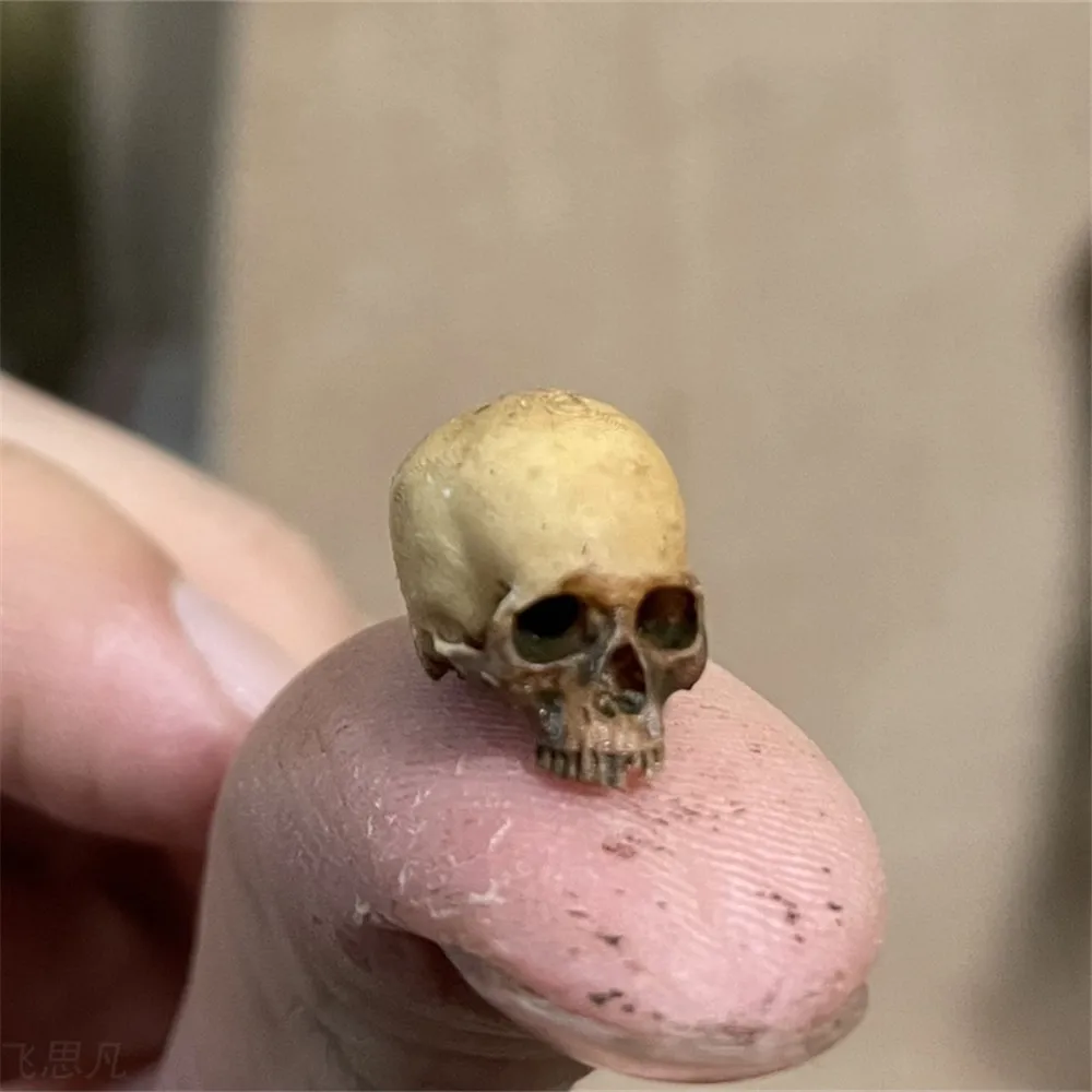 Mini Skull Hoge kwaliteit mini - Aquarium Fish Items recensie en prijs
