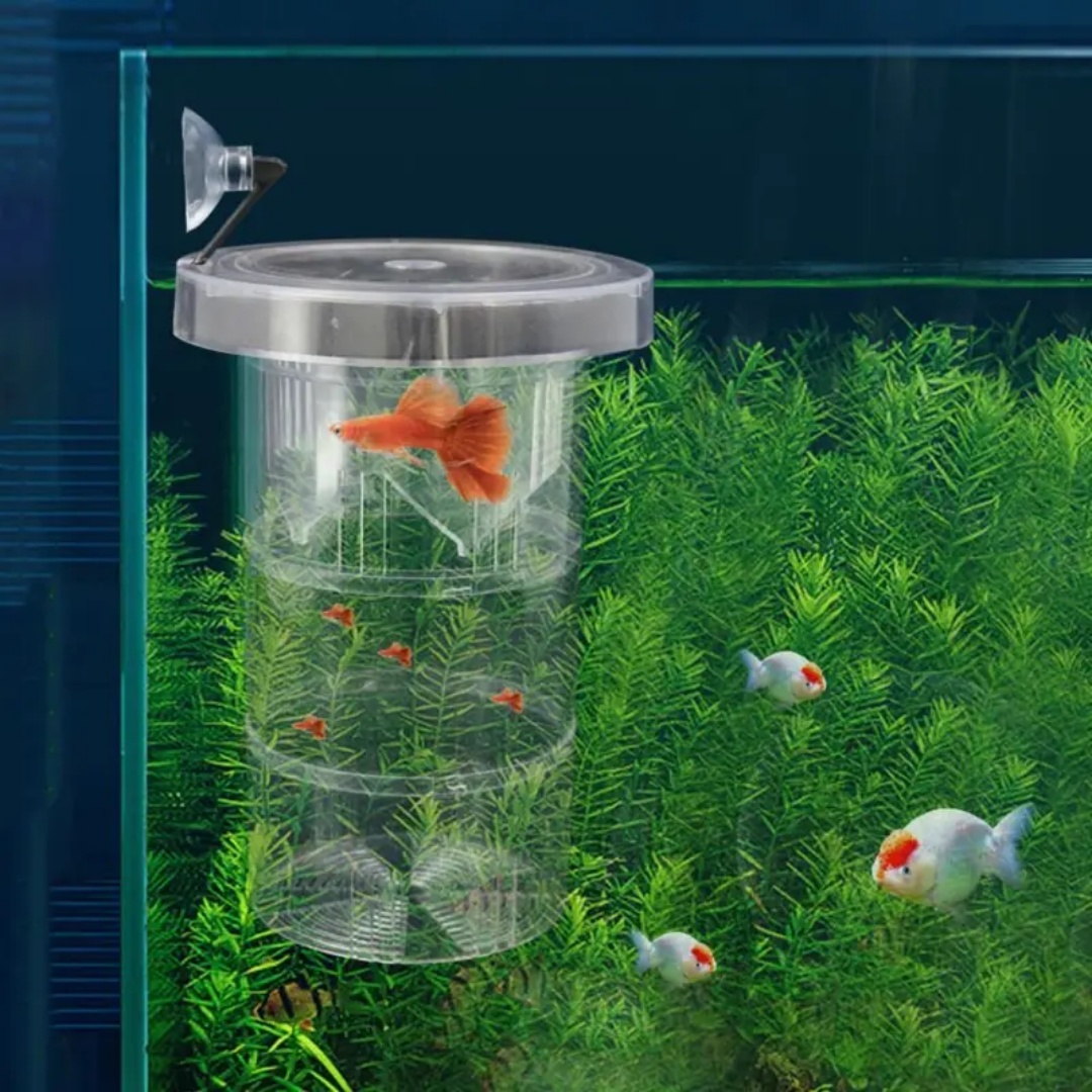 Acryl Drijvende Vis Fokken Iso - Aquarium Fish Cave recensie en prijs