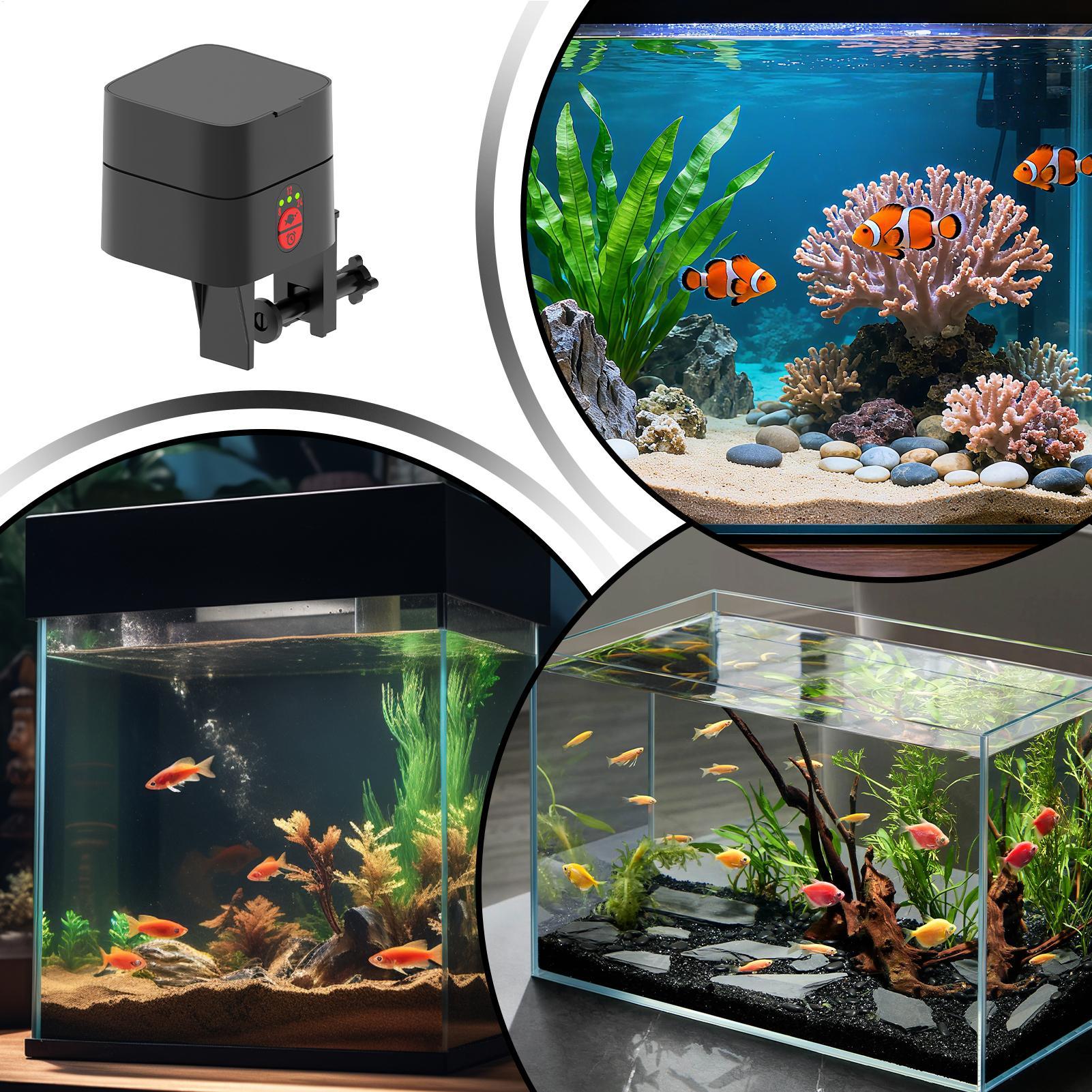 Automatische visvoederautomaat - Aquarium Fish Feeder recensie en prijs