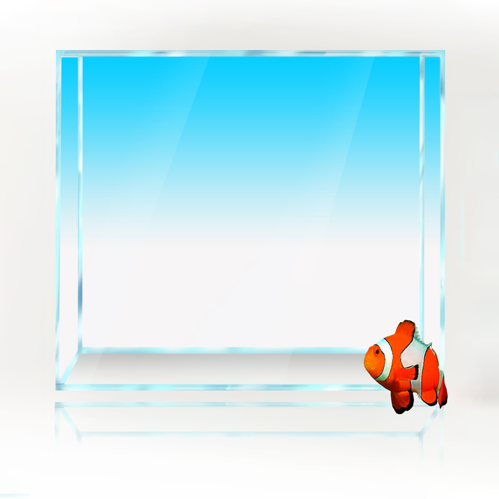 Vierkante Aquarium Achtergrond - Aquarium Fish Yellow And Black recensie en prijs