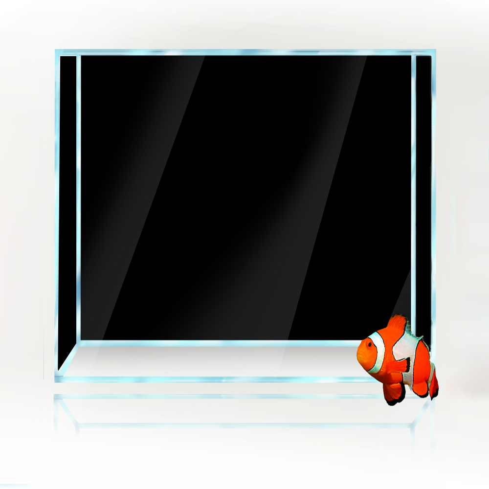Vierkante Aquarium Achtergrond - Aquarium Fish Yellow And Black recensie en prijs