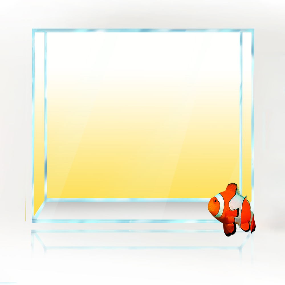 Vierkante Aquarium Achtergrond - Aquarium Fish Yellow And Black recensie en prijs