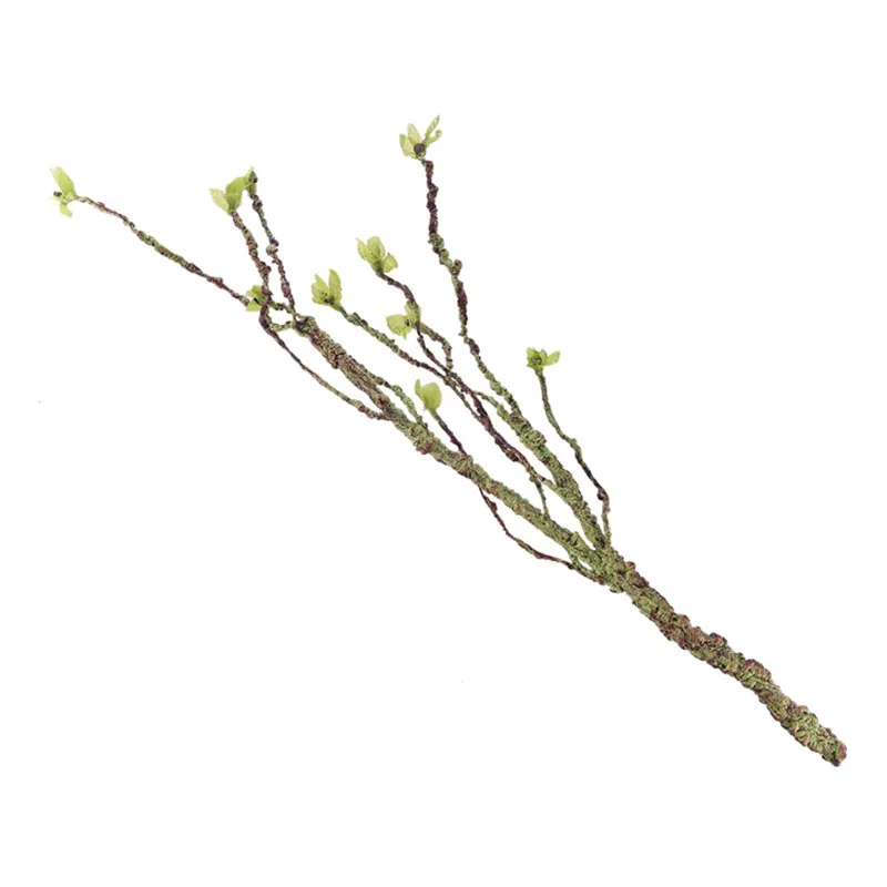 Wijnstokken Decor Klimtakken H - Aquarium Fish Items recensie en prijs